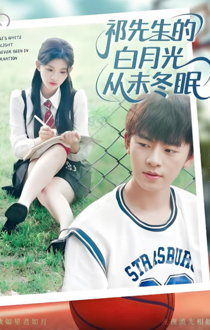 总裁的贴身冷秘