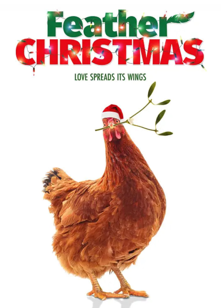 宠物鸡与圣诞节