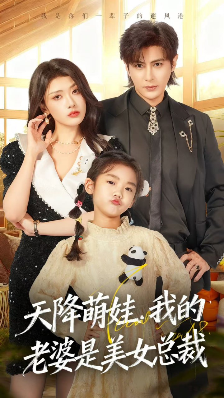 天降萌娃我的老婆是美女总裁