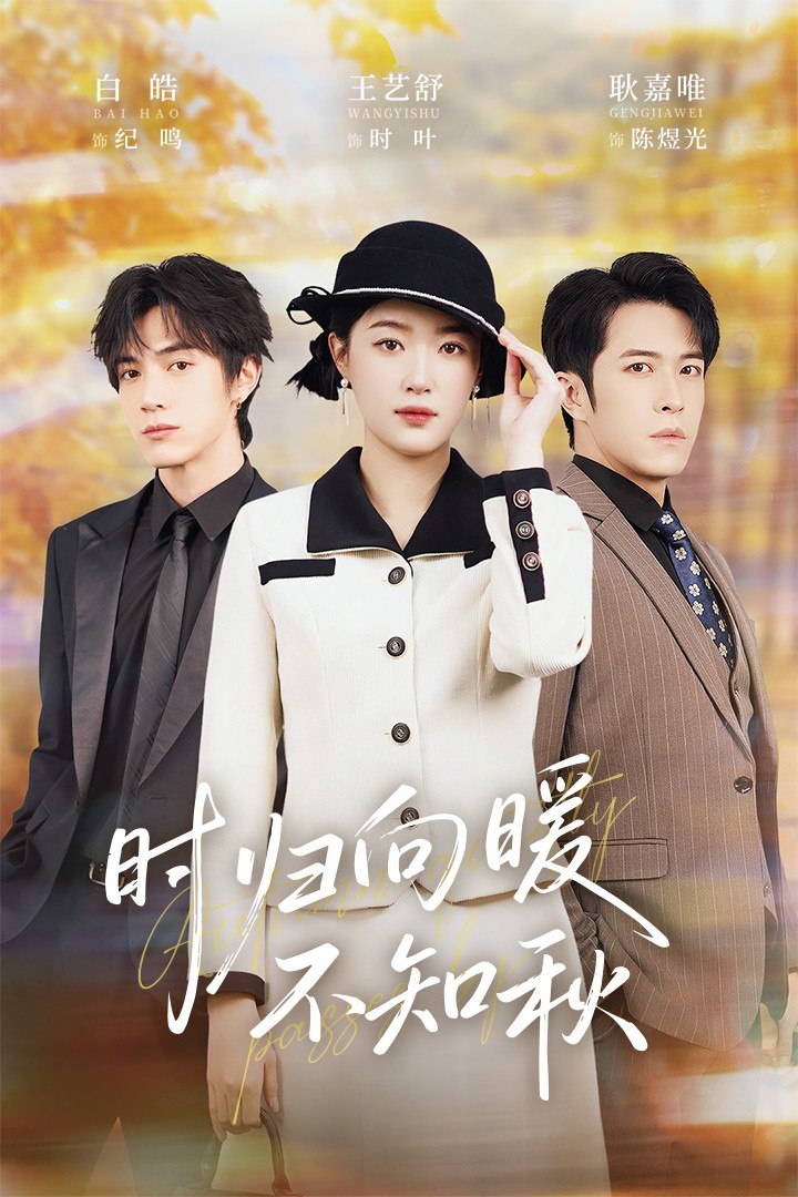 时归向暖不知秋第二十八年冬封面图