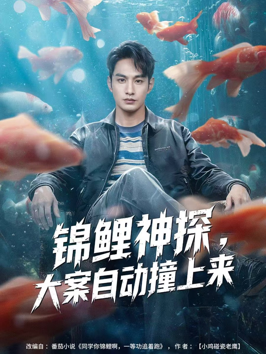 锦鲤神探大案自动撞上来