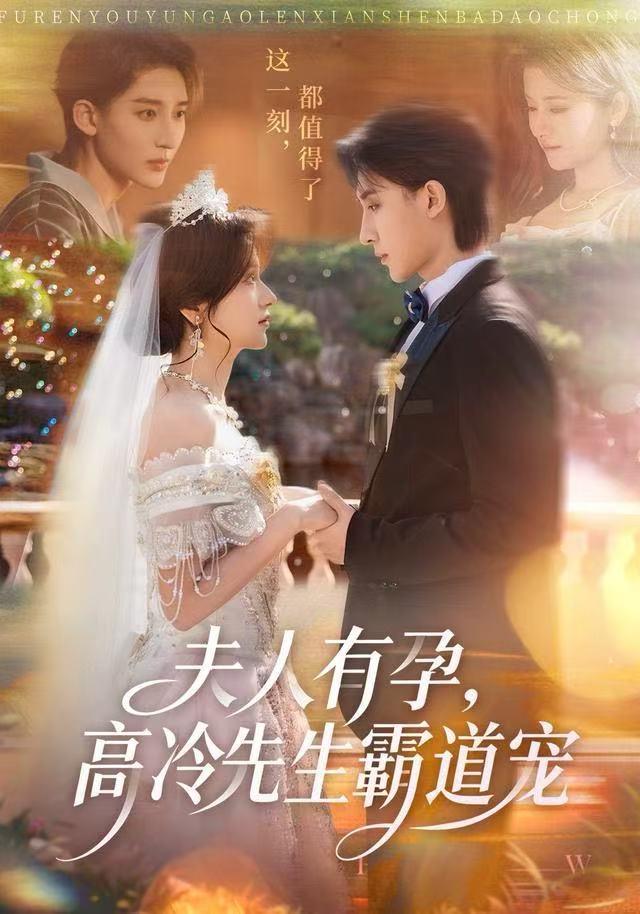 夫人有孕高冷先生霸道宠