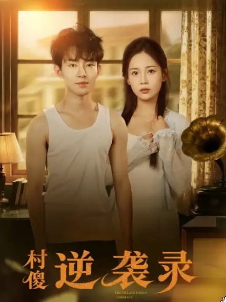 村傻逆袭录封面图