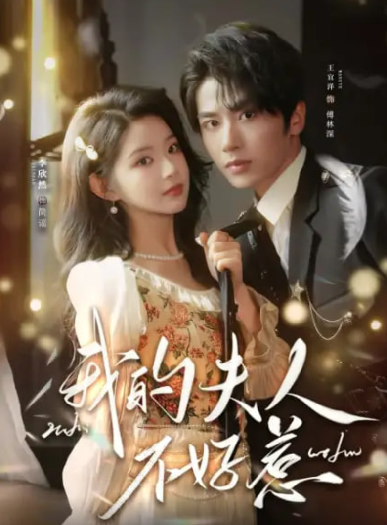 你好我的旅长夫人我的夫人不好惹