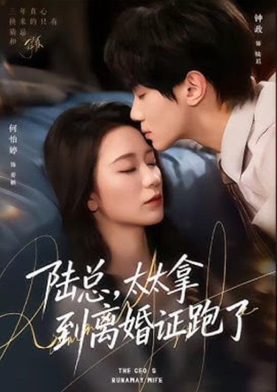 陆总太太拿到离婚证跑了