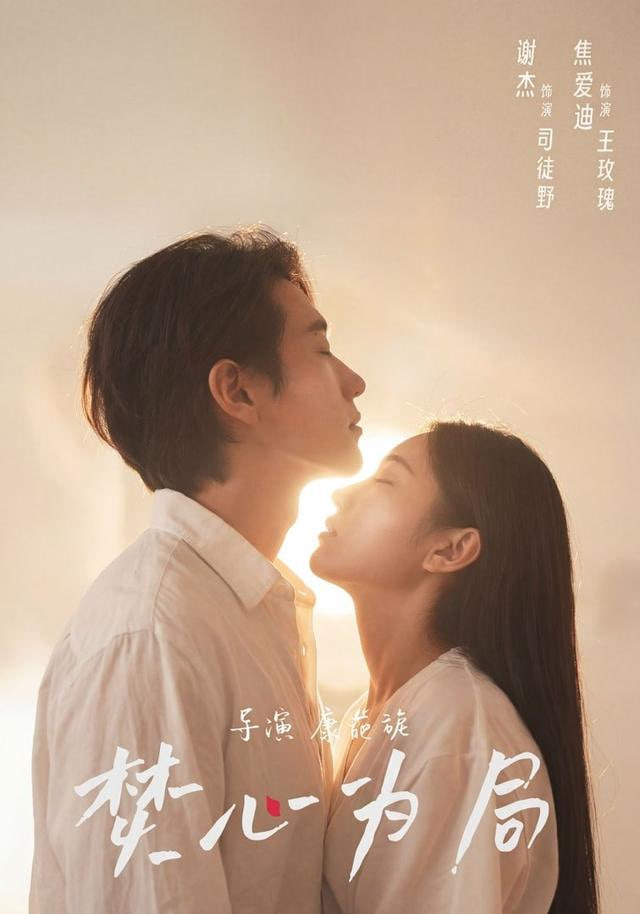 焚心为局封面图