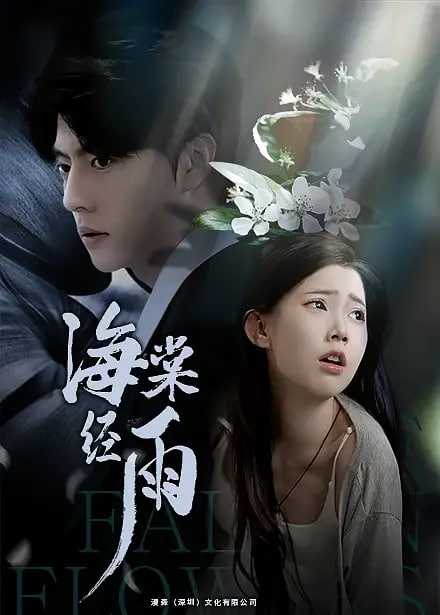 海棠经雨封面图