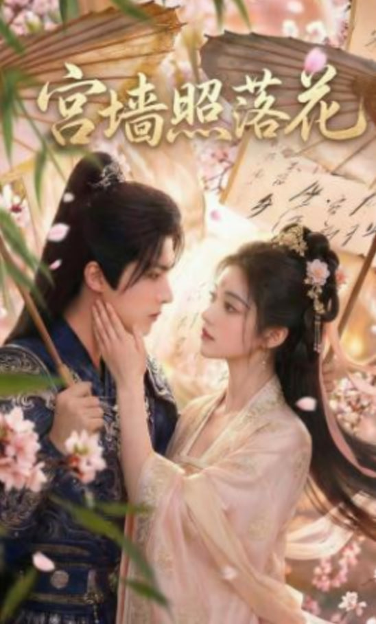 宫墙照落花封面图