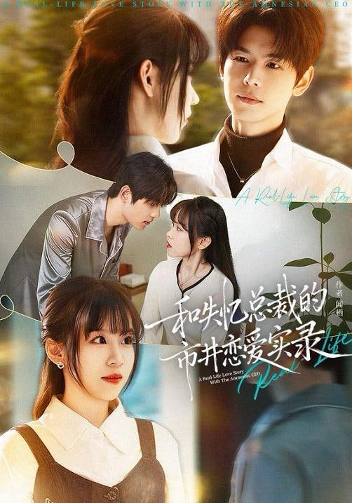 和失忆总裁的市井恋爱实录封面图