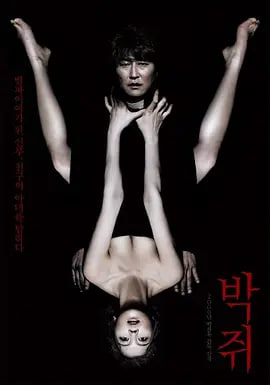 蝙蝠 2009封面图