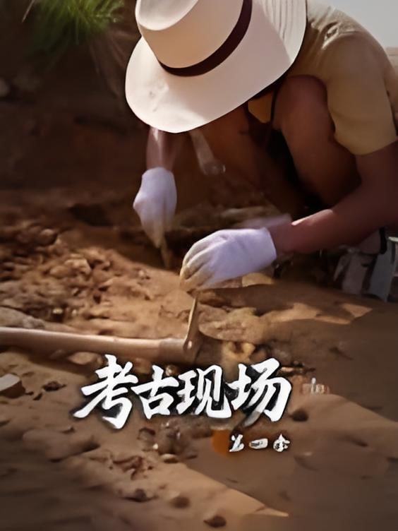 X档案·考古现场第四季封面图