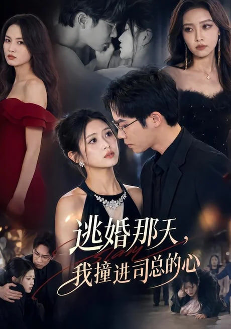 逃婚那天，我撞进司总的心