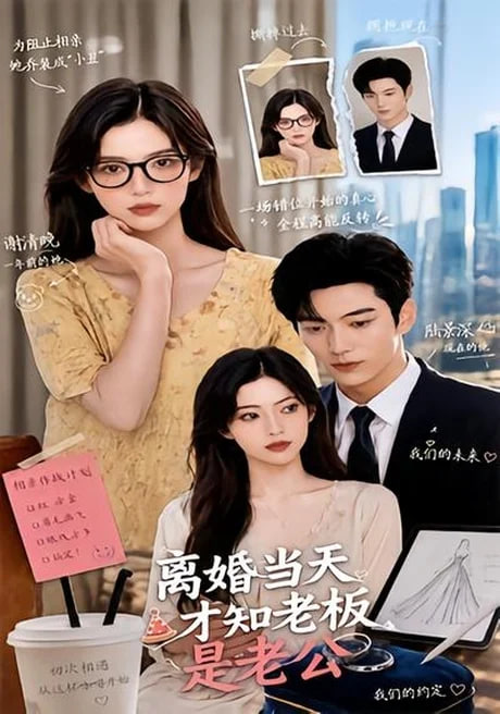 离婚当天才知老板是老公