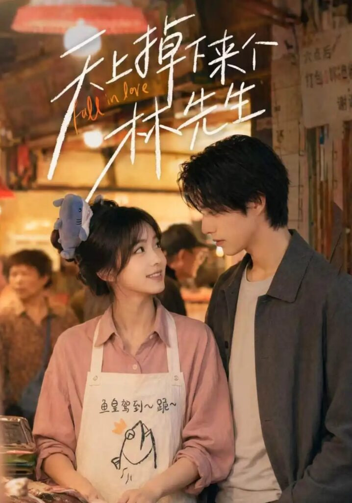 天上掉下来个林先生