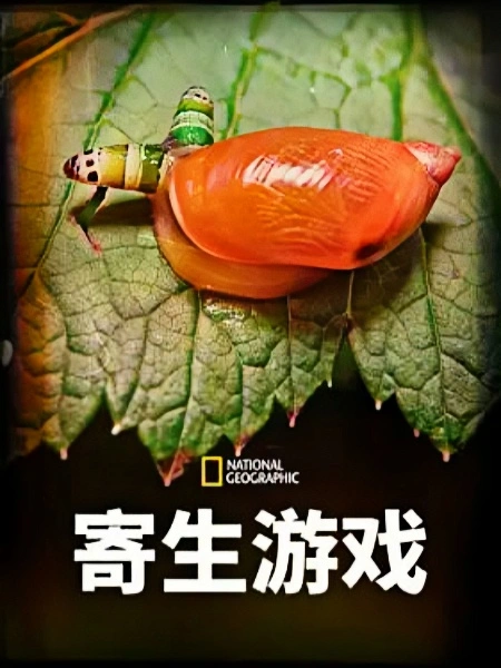 寄生游戏 第一季 英文版封面图