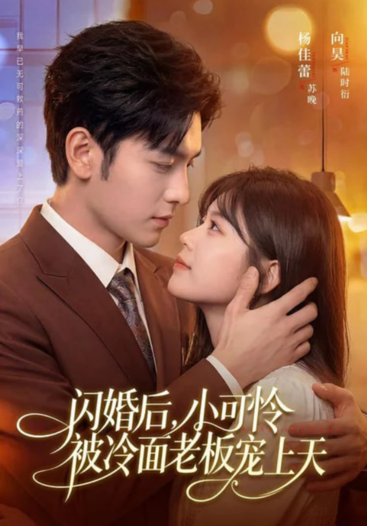 闪婚后，小可怜被冷面老板宠上天