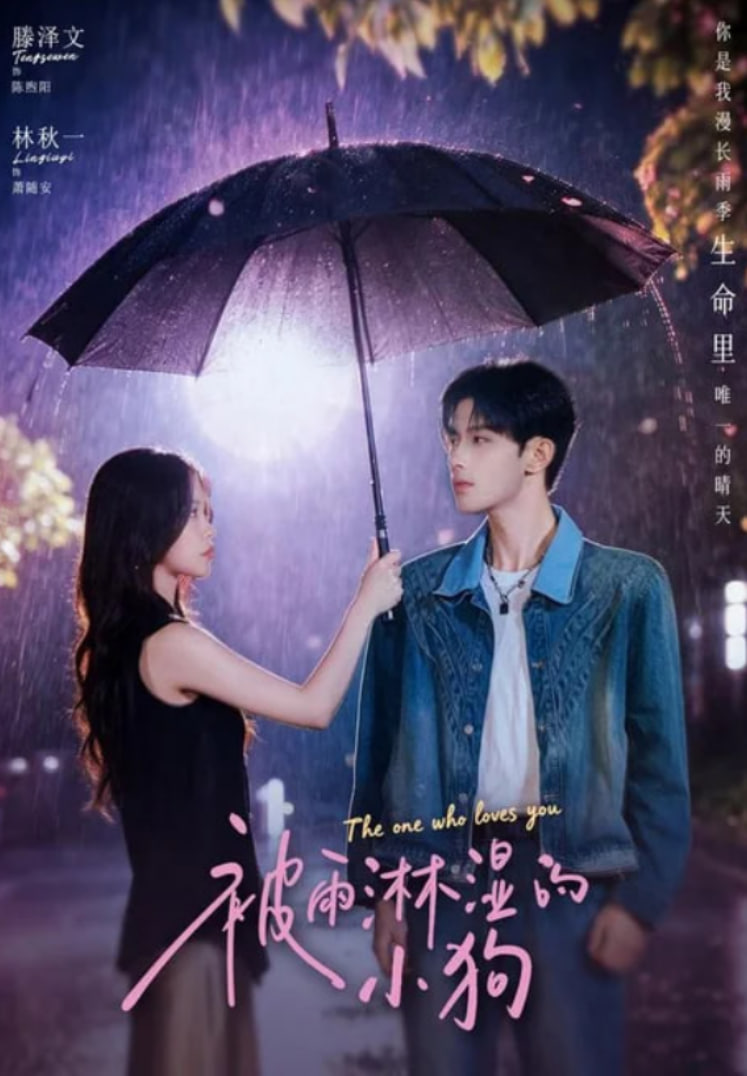 被雨淋湿的小狗