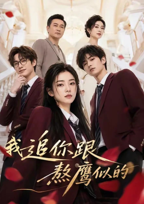 我追你跟熬鹰似的