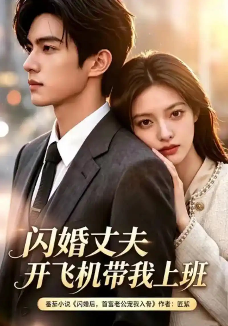 闪婚丈夫,开飞机带我上班第三季