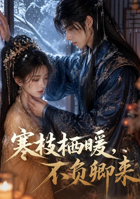 寒枝栖暖，不负卿来