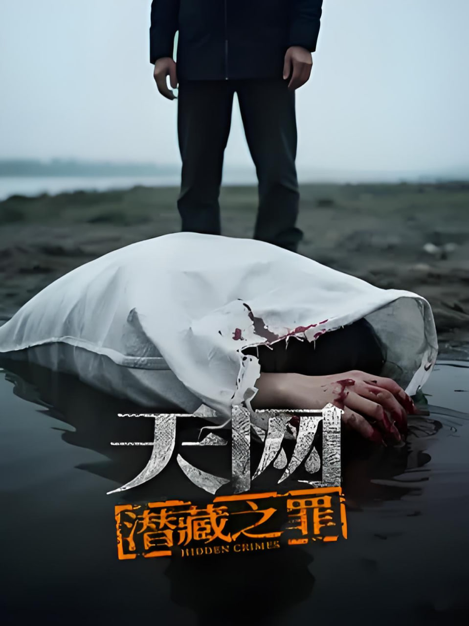 天网:潜藏之罪