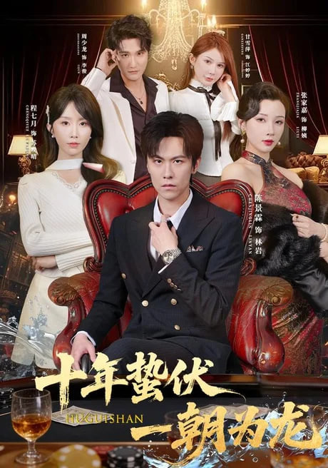 十年蛰伏一朝为龙