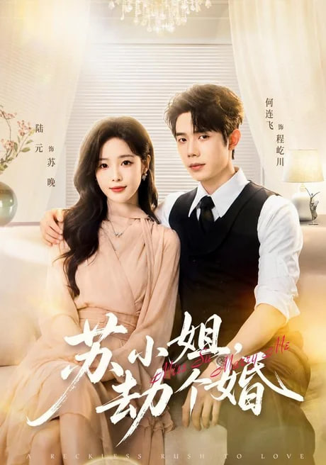 苏小姐劫个婚