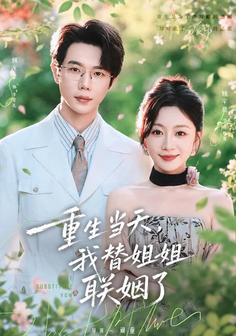 重生当天我替姐姐联姻了