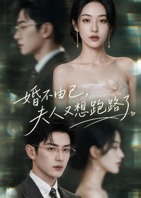 婚不由己，夫人又想跑路了