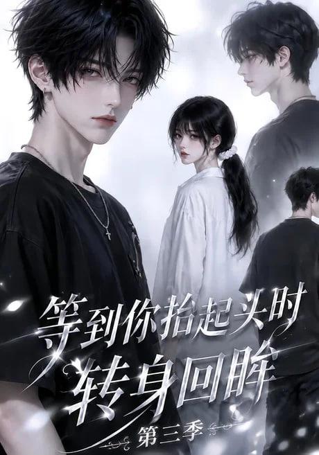 等到你抬起头时转身回眸（第三季）