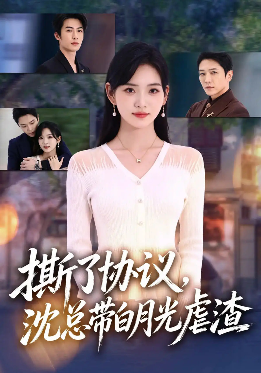 撕了协议沈总带白月光虐渣