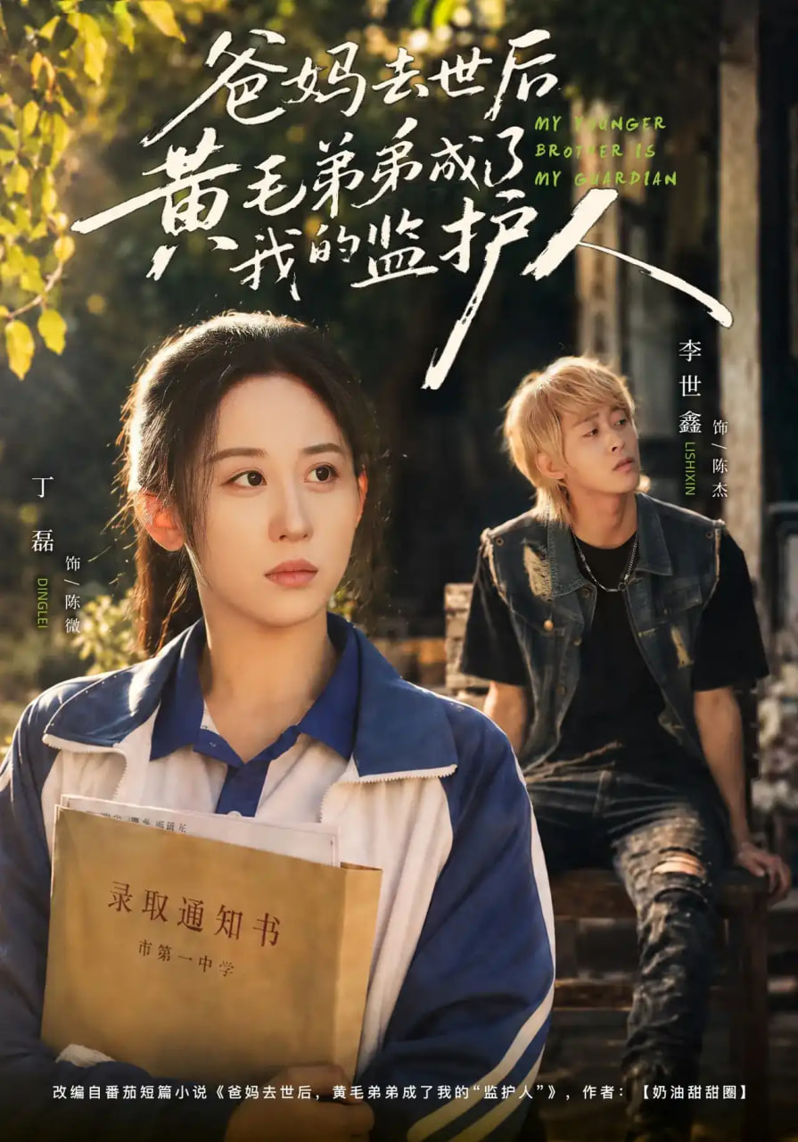 爸妈去世后黄毛弟弟成了我的监护人 真人剧海报