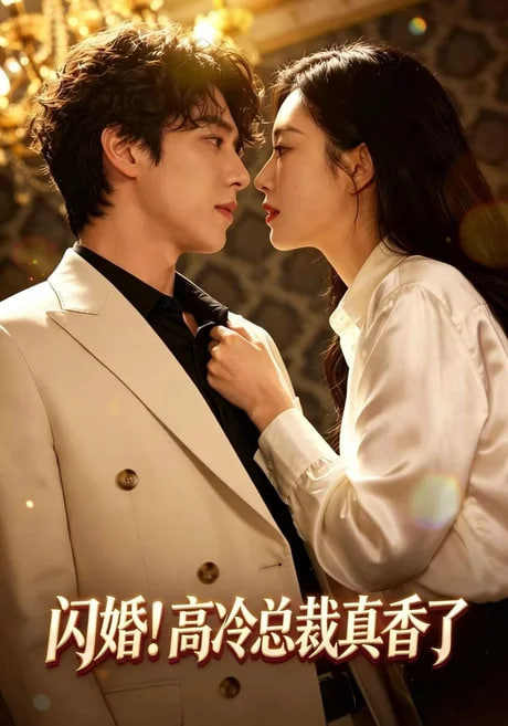 闪婚高冷总裁真香了