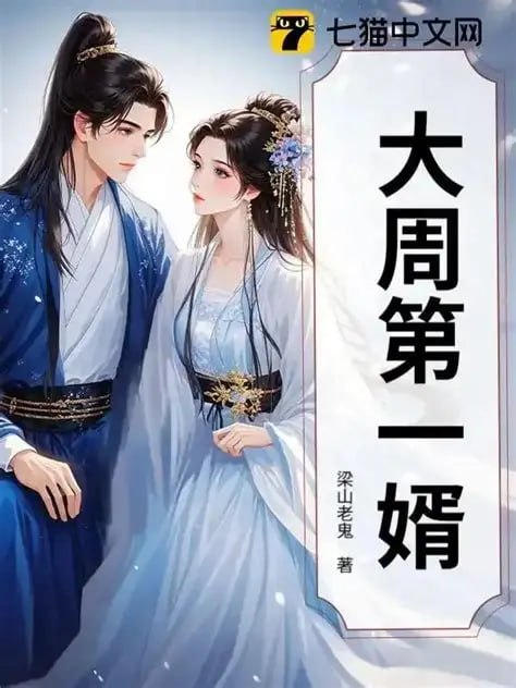 大周第一婿