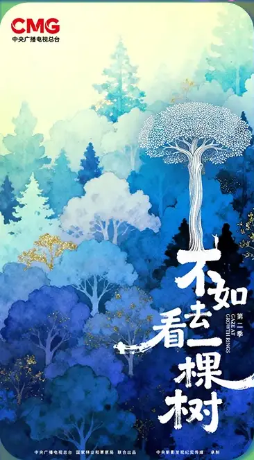 不如去看一棵树第二季