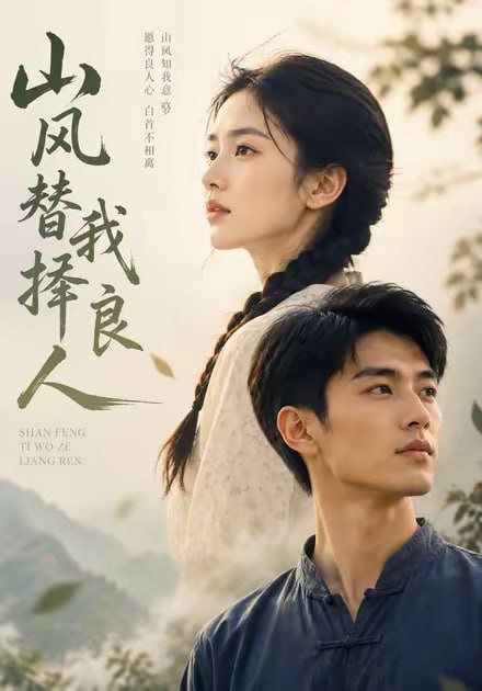 山风替我择良人封面图