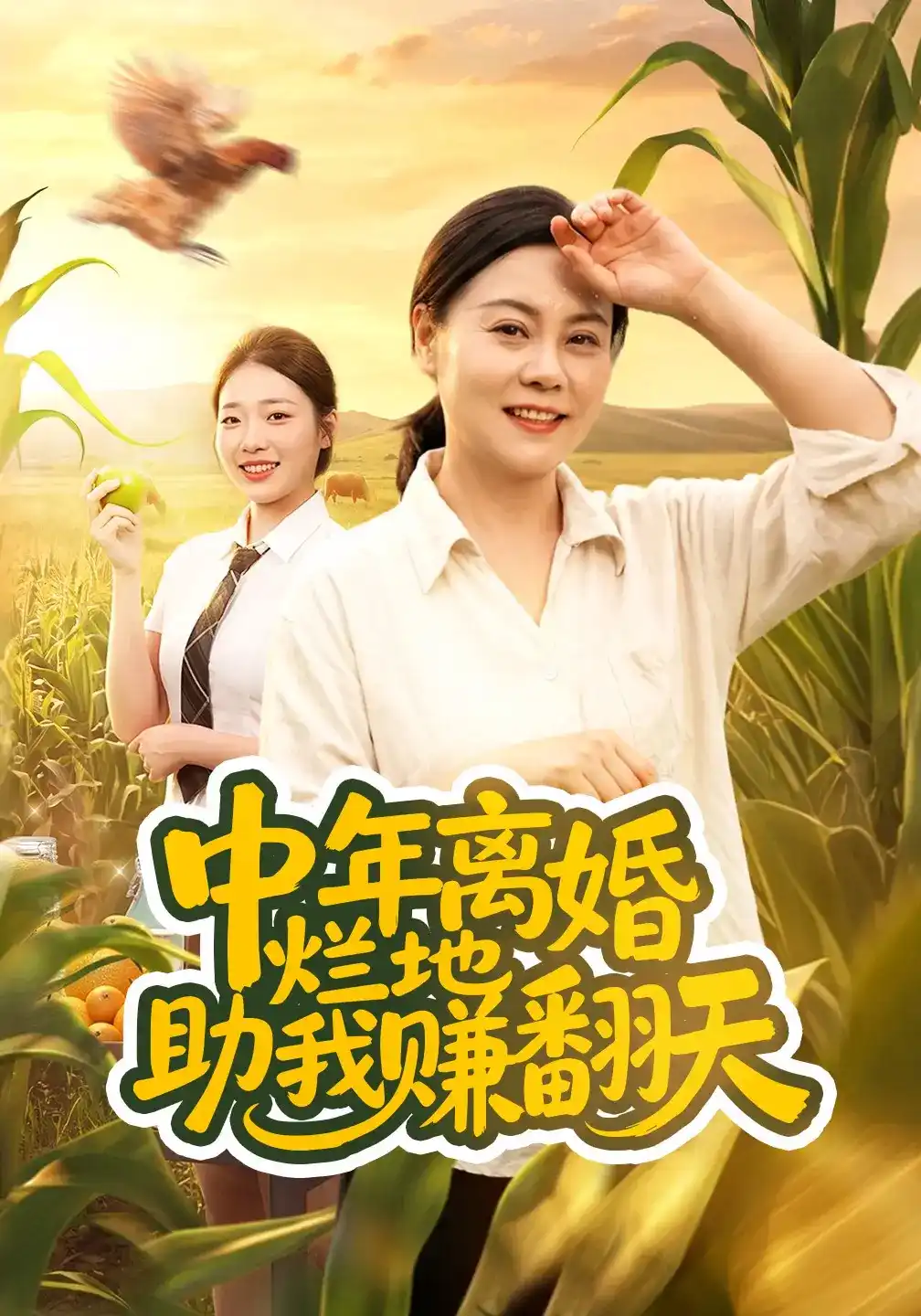 中年离婚烂地助我赚翻天