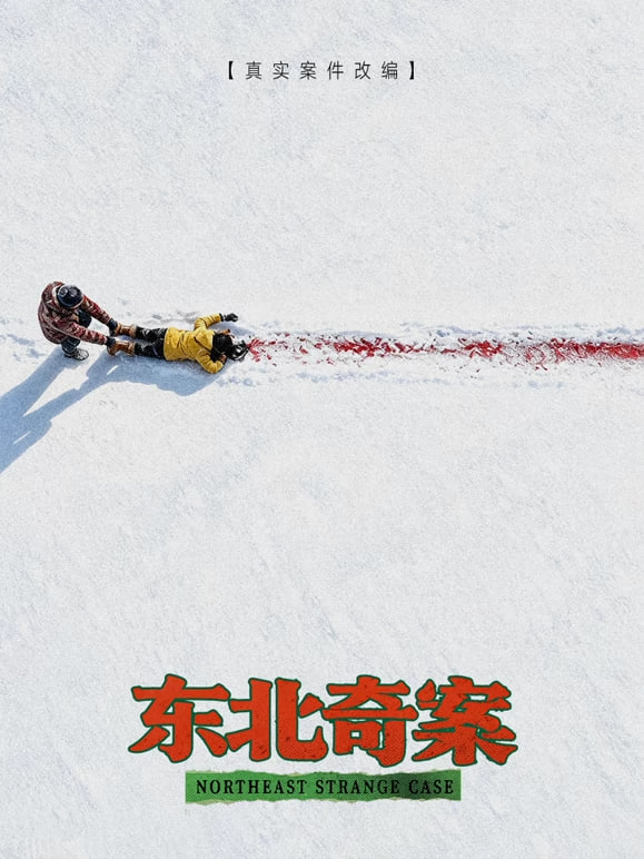 东北奇案的封面图